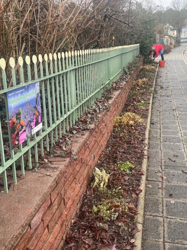 Unser Blühstreifen Projekt startet in die neue Saison